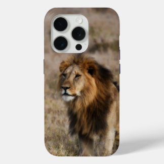 Lion africain en Grass iPhone 7 Coque