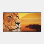 Lion African Day (Recto)