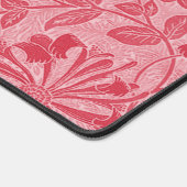 Lion ailé Saint-Marc du XVe siècle (Coin)