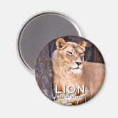 Lion aimant (Recto/Verso)