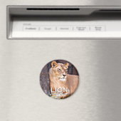Lion aimant (In Situ (Lave-vaisselle))