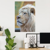 Lion Animal Wall Poster (Thuiskantoor)