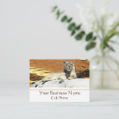 Lion assis sur le Carte de visite du coucher de so (Debout devant)