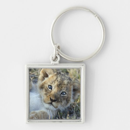 Lion Baby Sleutelhanger (Voorkant)