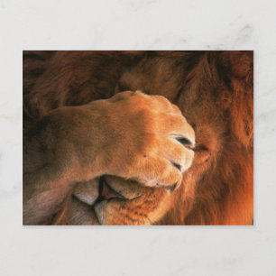 Lion Briefkaart