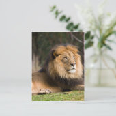 Lion Briefkaart (Staand voorkant)