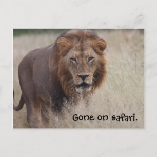 Lion Briefkaart