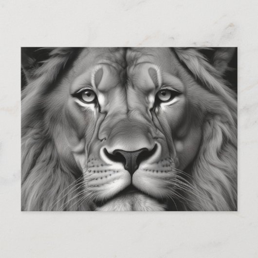 Lion Briefkaart (Voorkant)