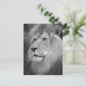 Lion Briefkaart (Staand voorkant)