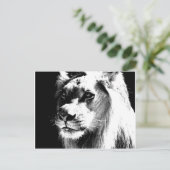 Lion Briefkaart (Staand voorkant)