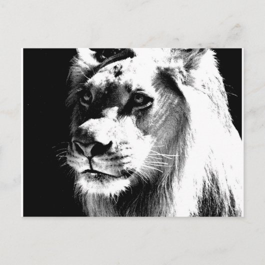 Lion Briefkaart (Voorkant)