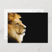 Lion Briefkaart (Voorkant / Achterkant)