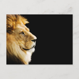 Lion Briefkaart