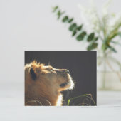 Lion Briefkaart (Staand voorkant)