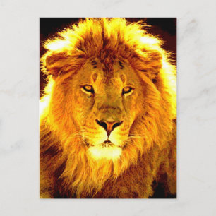 Lion Briefkaart