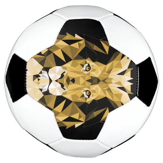 Lion Brown (Tourné)