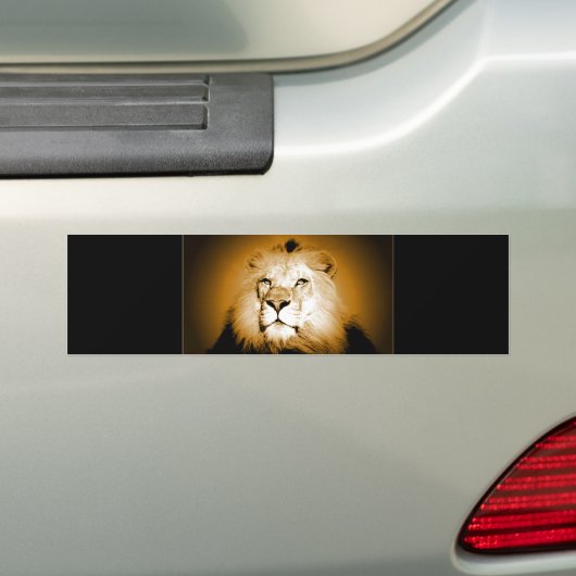 Lion Bumpersticker (Op auto)