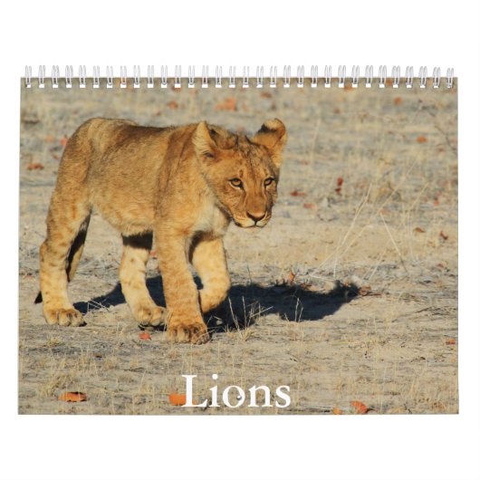 Lion Calendar Kalender (Hoes)
