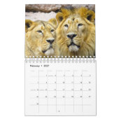 Lion Calendar Kalender (Feb 2027)