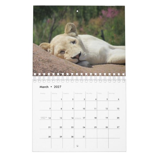 Lion Calendar Kalender (Mar 2027)