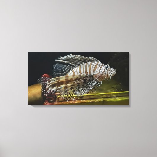 Lion Canvas Afdruk (Voorkant)