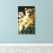 Lion Canvas Afdruk (Insitu (Houten vloer))