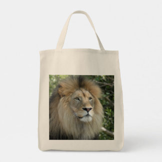 Lion Canvas tas