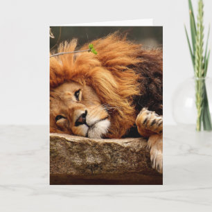 LION CARTES DE SALUT D'ANNIVERSAIRE