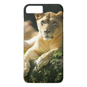 Lion iPhone 8 Plus / 7 Plus Hoesje