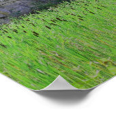 Lion Cattails Stone Wall Imaginaire Art Poster (Coin)