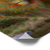 Lion Confucius Inspirerend Quote Poster (Hoek)