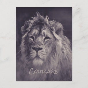 Lion Courage King of the Oerwoud Briefkaart