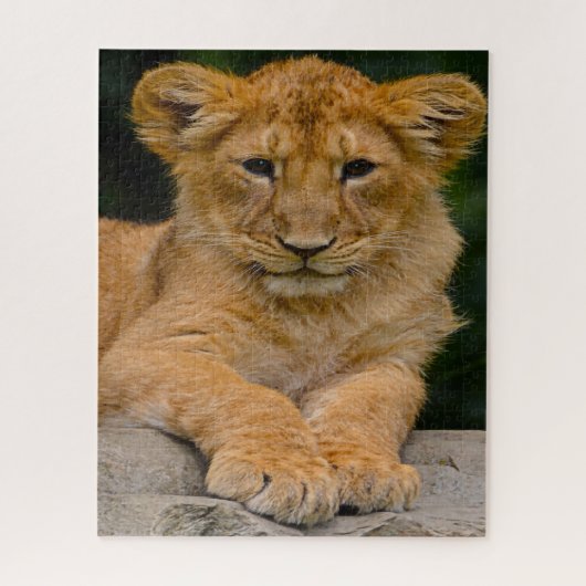Lion Cub Big Cats. Legpuzzel (Verticaal)