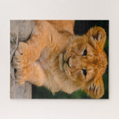 Lion Cub Big Cats. Legpuzzel (Horizontaal)