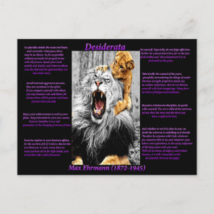 Lion Cub Briefkaart