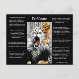 Lion Cub Briefkaart