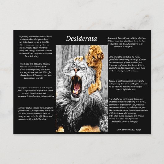 Lion Cub Briefkaart (Voorkant)