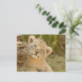 Lion Cub Briefkaart (Staand voorkant)