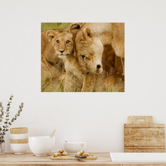 Lion Cub en moeder Poster (Keuken)