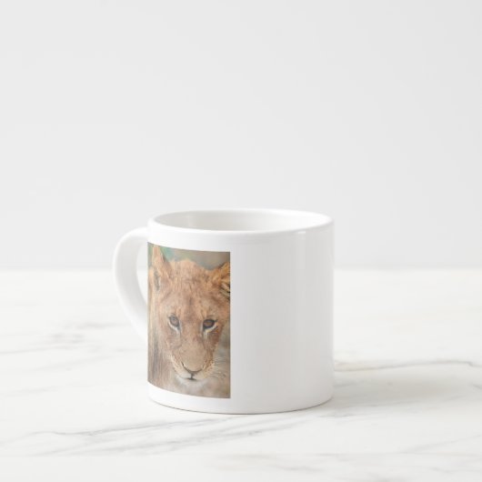 Lion Cub Espresso Kop (Voorkant links)