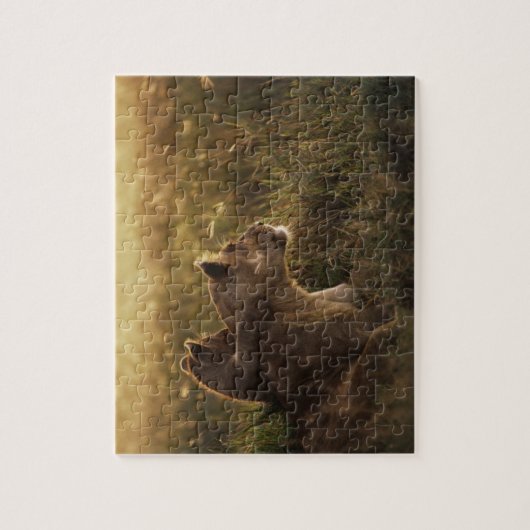 Lion & Cub Game Puzzle Legpuzzel (Verticaal)