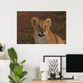 Lion cub in Masai Mara Poster (Thuiskantoor)