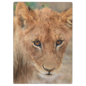 Lion Cub Klembord (Achterkant)