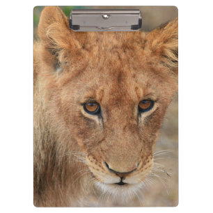 Lion Cub Klembord