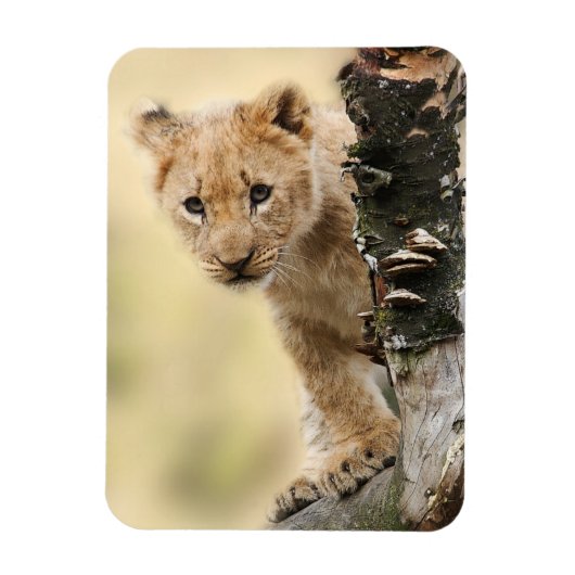 Lion Cub Magneet (Verticaal)