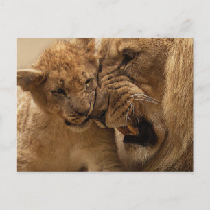 Lion cub met vader briefkaart