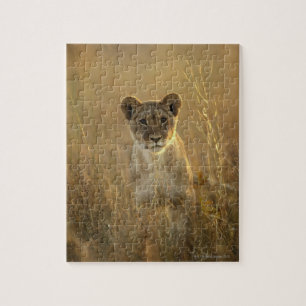 Lion Cub Nationaal Park Hwange, Zimbabwe Legpuzzel