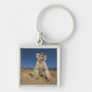 Lion Cub (Panthera Leo) op zand, Namibië Sleutelhanger