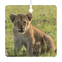 Lion Cub Persoonlijke naam Kerstmis