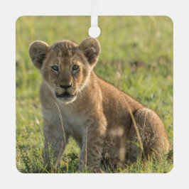 Lion Cub Persoonlijke naam Kerstmis Metalen Ornament